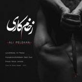 دانلود آهنگ علی پلکان زخم کاری